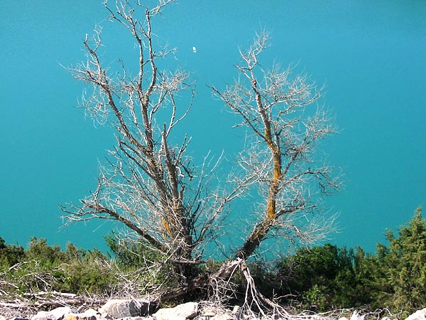 Lake of Verdon